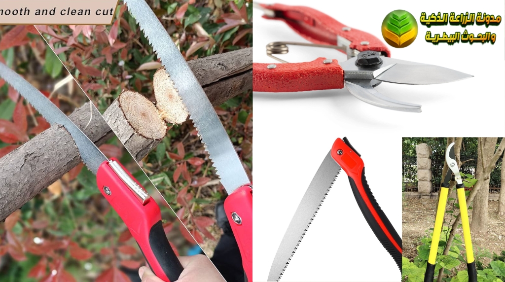 أدوات قص الأشجار