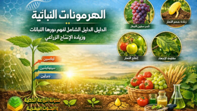 الهرمونات النباتية: الدليل الشامل لفهم دورها في نمو النبات وزيادة الإنتاج الزراعي