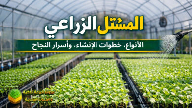 المشتل الزراعي من الألف إلى الياء: الأنواع، خطوات الإنشاء، وأسرار النجاح