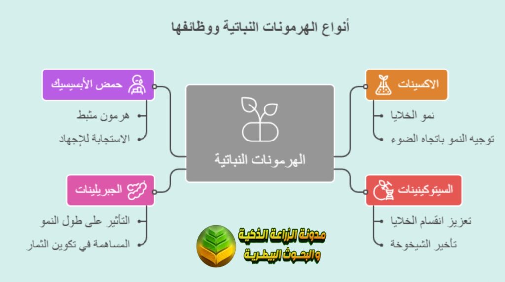 أنواع الهرمونات النباتية