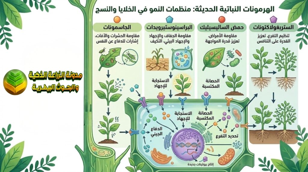 الهرمونات النباتية الحديثة