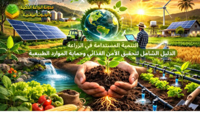 التنمية المستدامة في الزراعة: الدليل الشامل لتحقيق الأمن الغذائي وحماية الموارد الطبيعية