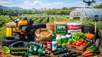 المستلزمات الزراعية الحديثة: كيف تختار المعدات والمواد المناسبة لمزرعتك؟