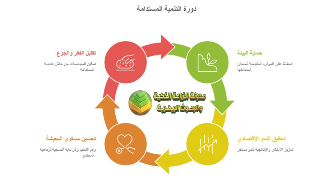 أبعاد التنمية المستدامة الثلاثة