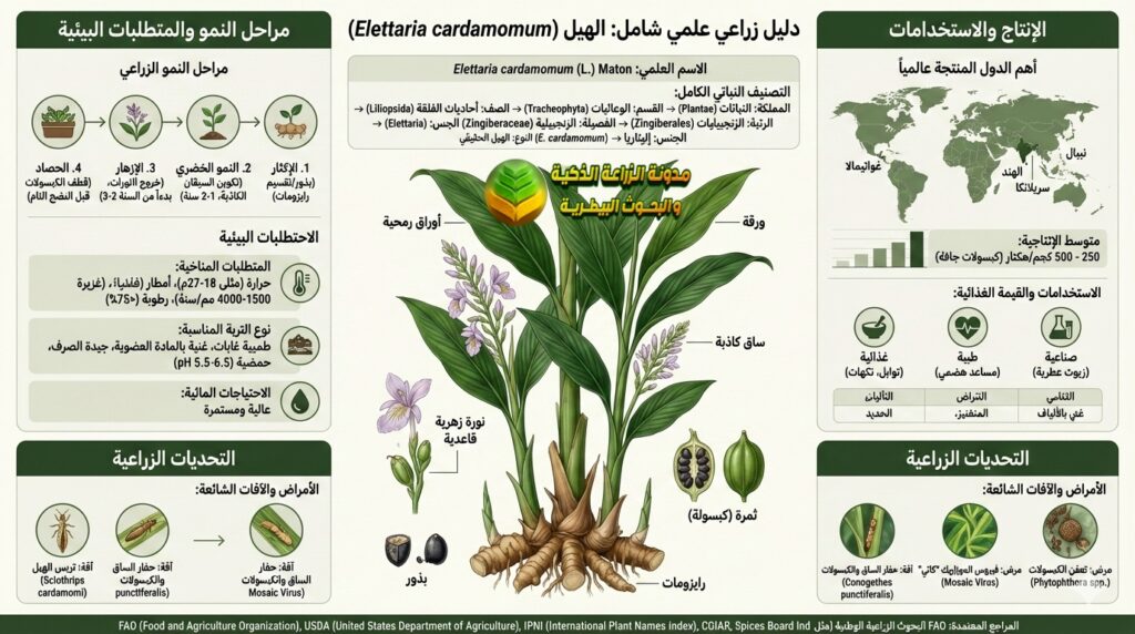 زراعة الهيل