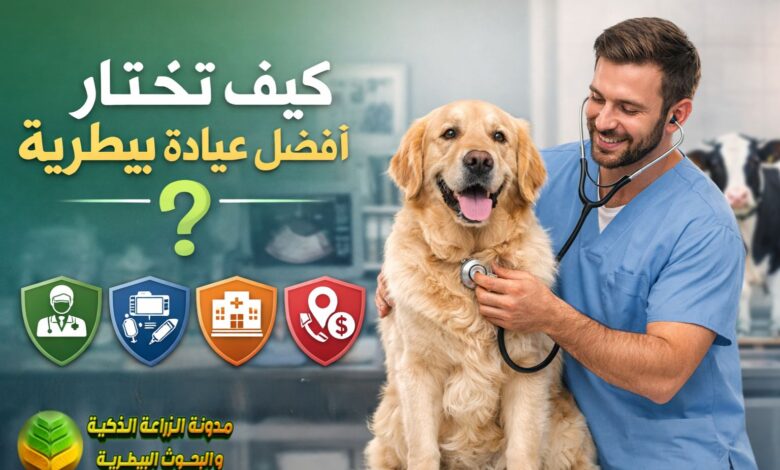 أفضل 5 معايير لاختيار عيادة بيطرية موثوقة: دليل شامل لحماية صحة حيواناتك