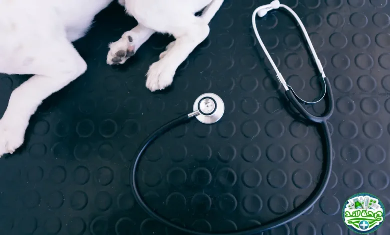 نبذة عن قسم البحوث البيطرية والمرجع الشامل في مدونة الزراعة الذكية والمعدات الحديثة