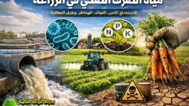 مياه الصرف الصحي في الزراعة: الاستخدام الآمن، الفوائد، المخاطر، وأحدث طرق المعالجة