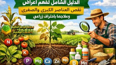الدليل الشامل لفهم أعراض نقص العناصر الكبرى والصغرى وعلاجها باحتراف زراعي