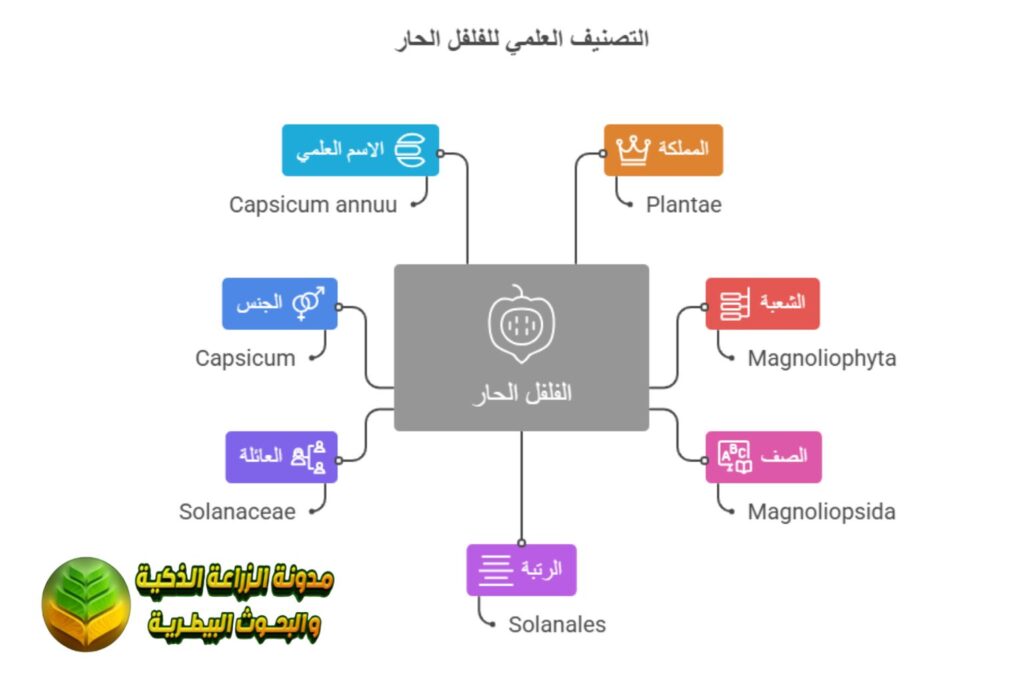 التصنيف العلمي لنبات الفلفل الحار