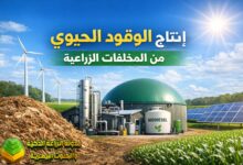 الوقود الحيوي من المخلفات الزراعية: من نفايات حقلية إلى طاقة نظيفة ومستدامة