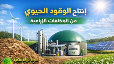 الوقود الحيوي من المخلفات الزراعية: من نفايات حقلية إلى طاقة نظيفة ومستدامة