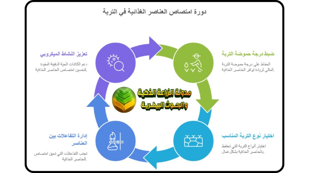 العوامل المؤثرة في امتصاص وتيسر العناصر الغذائية