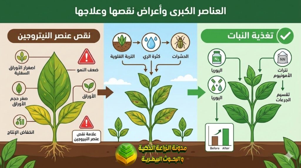 علامات نقص عنصر النيتروجين