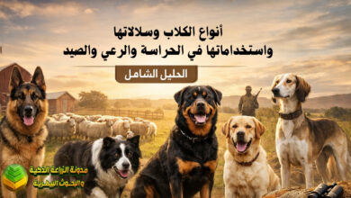 أنواع الكلاب وسلالاتها واستخداماتها في الحراسة والرعي والصيد – الدليل الشامل