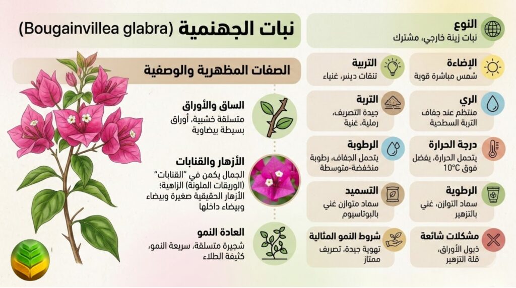 نبات الجهنمية