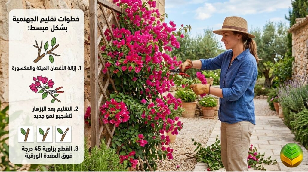 تقليم الجهنمية