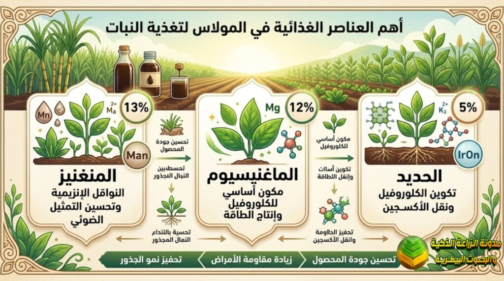 فوائد المولاس للنبات