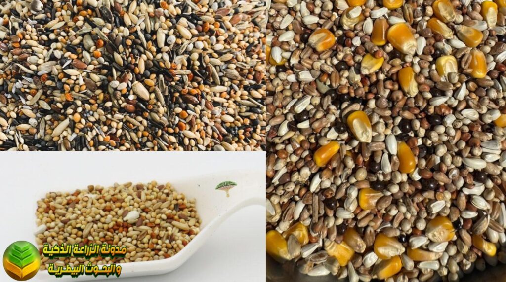 اعلاف طيور الزينة