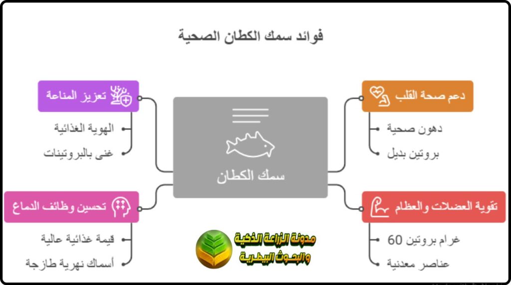 أهم فوائد سمك الكطان الصحية