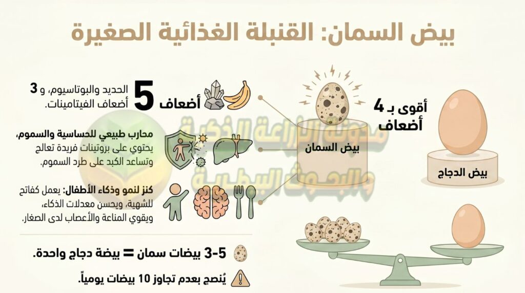 القيمة الغذائية لبيض السمان