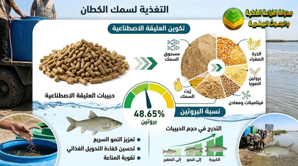 تغذية سمك الكطان