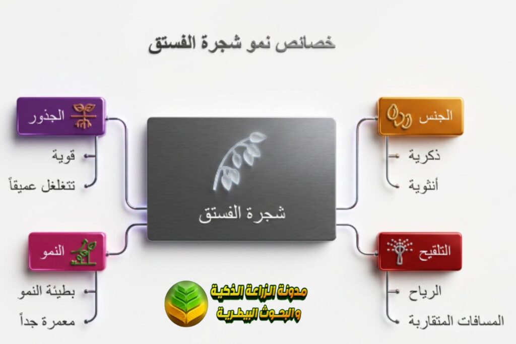 الوصف النباتي والخصائص الحيوية