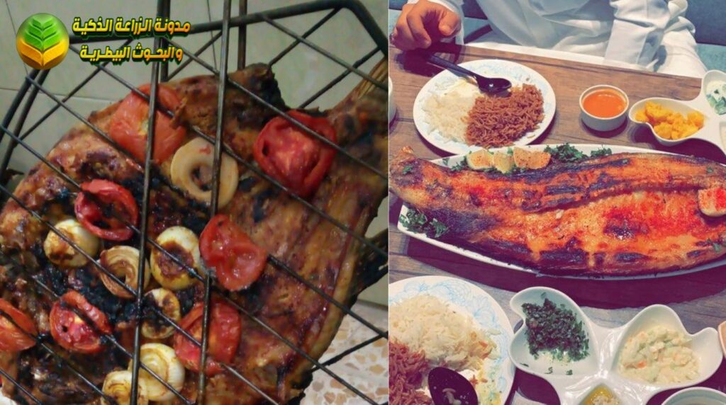 الكطان المشوي (سمك مسكوف)