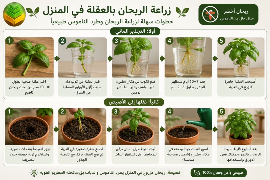كيفية زراعة النباتات الطبيعية الطاردة