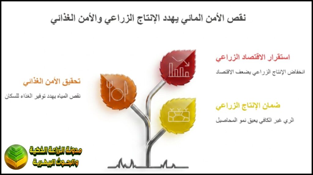 أهمية الأمن المائي في الزراعة