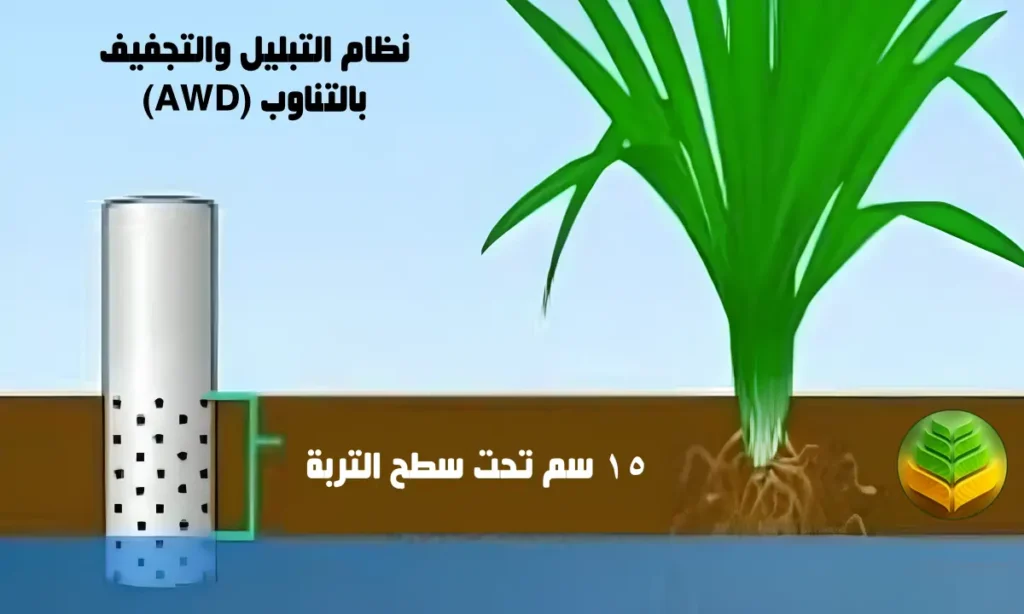 نظام التبليل والتجفيف بالتناوب (AWD)