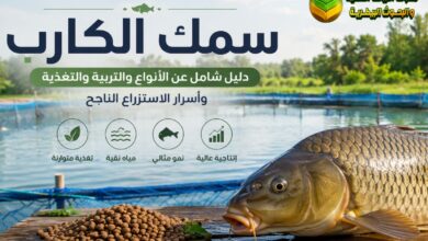 سمك الكارب: الأنواع وطرق التربية والتغذية والفوائد الاقتصادية بالتفصيل