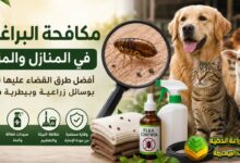 مكافحة البراغيث في المنازل والمزارع: أفضل طرق القضاء عليها بوسائل زراعية وبيطرية فعالة
