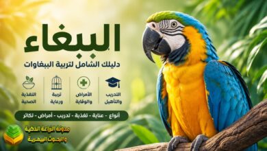 الببغاء: دليلك الشامل لتربية الببغاوات وأنواعها وطرق العناية بها وتغذيتها