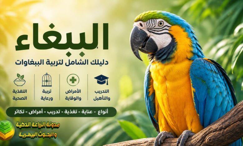 الببغاء: دليلك الشامل لتربية الببغاوات وأنواعها وطرق العناية بها وتغذيتها
