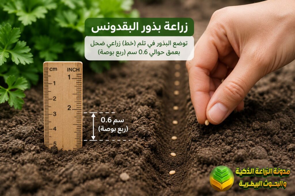 عملية البذر والزراعة الفعلية