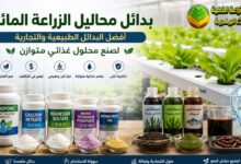 بدائل محلول الزراعة المائية: أفضل 7 بدائل طبيعية وتجارية لصنع محلول متوازن في 2026