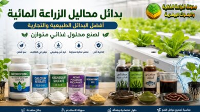 بدائل محلول الزراعة المائية: أفضل 7 بدائل طبيعية وتجارية لصنع محلول متوازن في 2026
