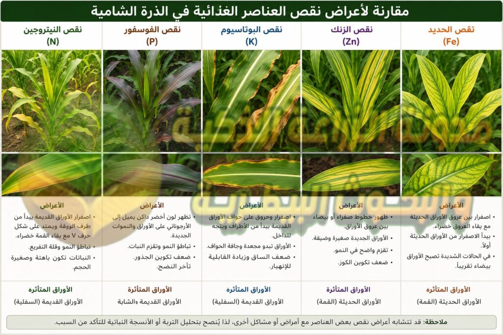 أعراض نقص العناصر الغذائية