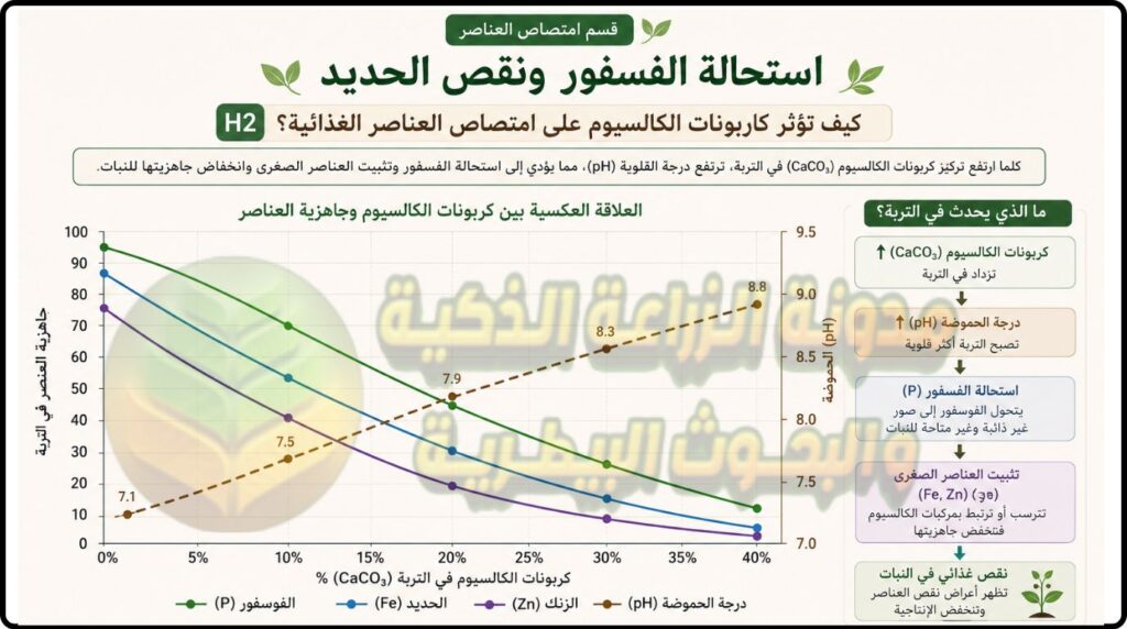 تأثير كاربونات الكالسيوم في التربة