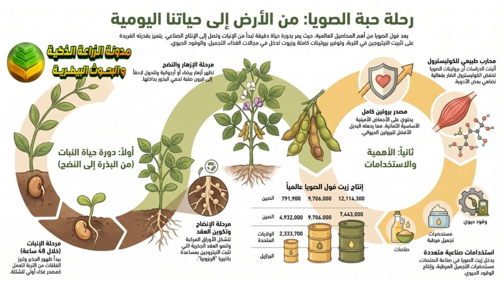 مراحل نمو زراعة فول الصويا