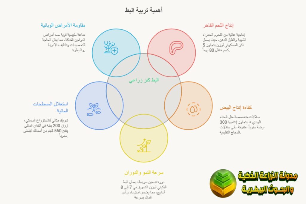 أهمية تربية البط