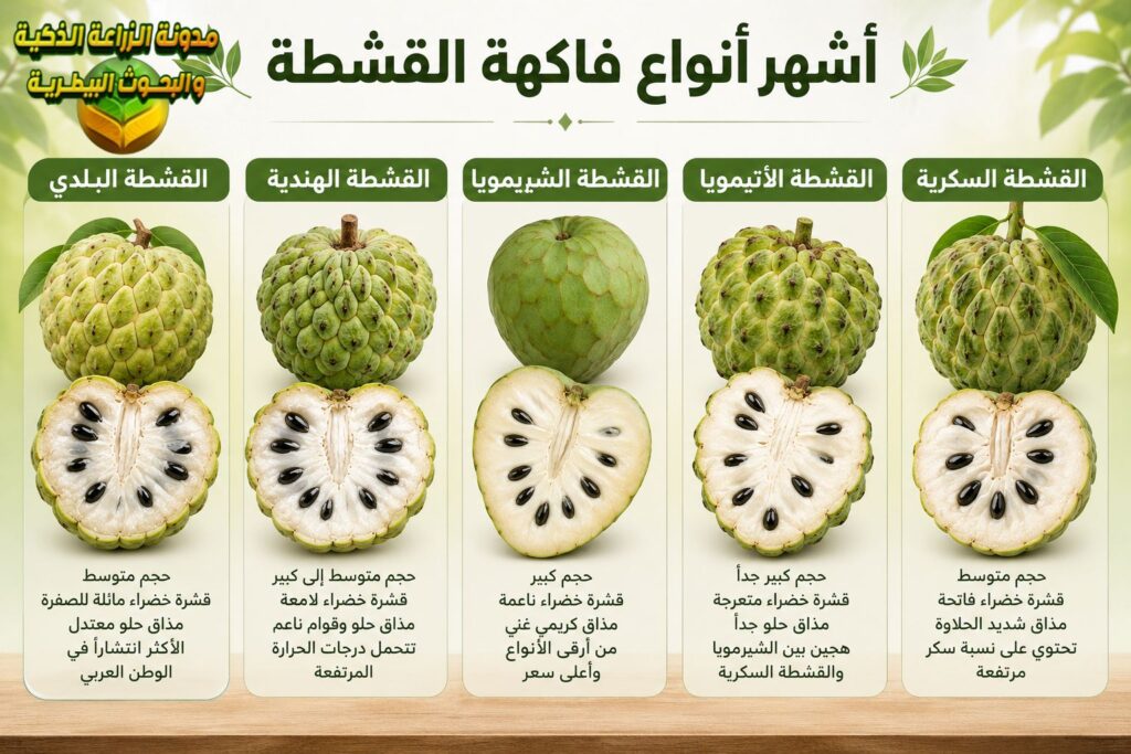 أنواع فاكهة القشطة