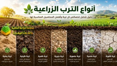 أنواع التربة الزراعية: الخصائص والمميزات والعيوب وأفضل المحاصيل لكل نوع