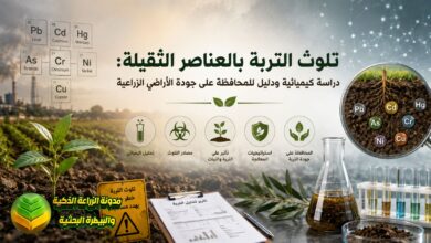 تلوث التربة بالعناصر الثقيلة: دراسة كيميائية ودليل للمحافظة على جودة الأراضي الزراعية