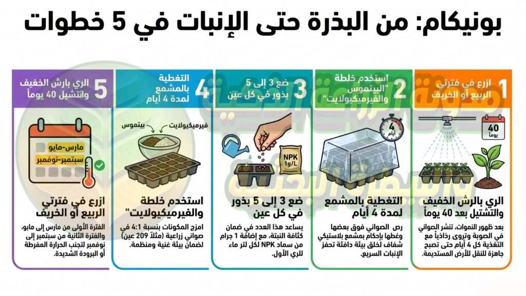 خطوات زراعة البونيكام