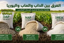 الفرق بين سماد الداب والماب واليوريا: أي سماد أفضل؟ مقارنة شاملة واستخدامات كل نوع