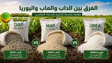 الفرق بين سماد الداب والماب واليوريا: أي سماد أفضل؟ مقارنة شاملة واستخدامات كل نوع