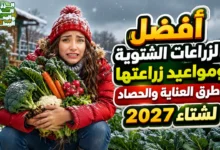 أفضل الزراعات الشتوية ومواعيد زراعتها وطرق العناية والحصاد لشتاء 2027