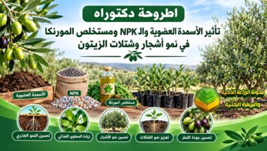 تأثير الأسمدة العضوية والكيميائية و مستخلص المورينجا في نمو شتلات وأشجار الزيتون
